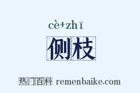 侧枝是什么意思的图片